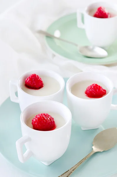 Panna cotta com framboesa — Fotografia de Stock