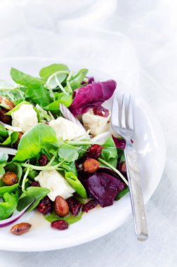 Öğle yemeği yemek için taze sağlıklı yeşil salata 