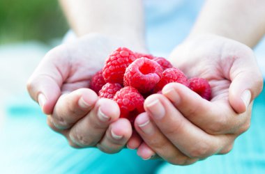 taze meyveleri tutan eller 