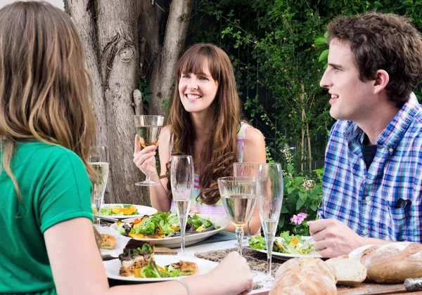 Fête en plein air avec groupe d'amis — Photo