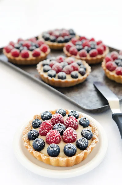 Muchas tartas de frutas apetitosas — Foto de Stock