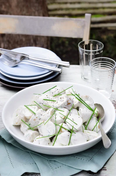 Barbekü, patates salatası — Stok fotoğraf