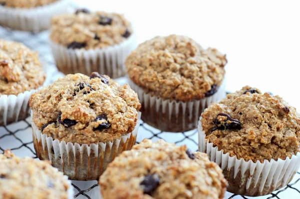 Zdrowe otręby muffin — Zdjęcie stockowe