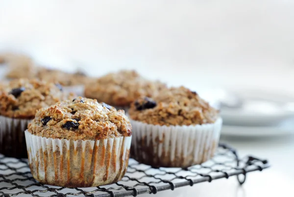 Muffin farelo saudável — Fotografia de Stock