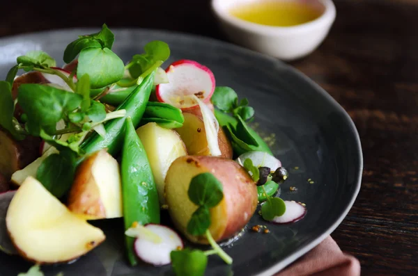 Sommar potatissallad med gröna — Stockfoto