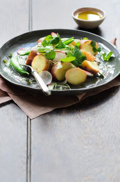 Salată de cartofi de vară cu verdeață — Fotografie, imagine de stoc