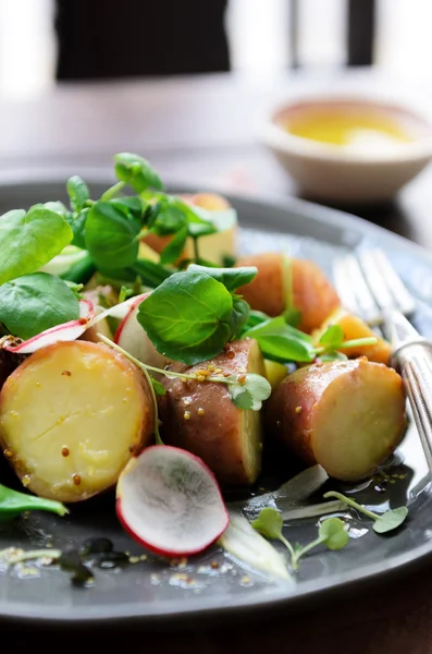 Salade de pommes de terre d'été aux légumes verts — Photo
