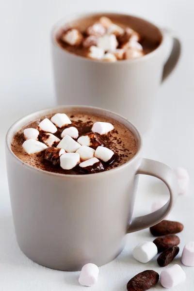 一大杯热巧克力 — 图库照片