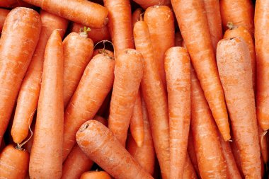 Havuç arka plan yakın çekim