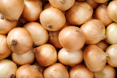 Onion background close up clipart