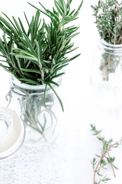 otlar rustik beyaz zemin üzerine şişelerde