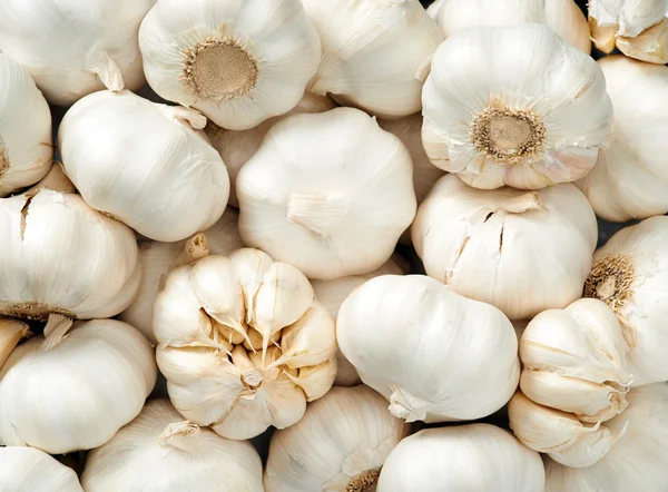 Garlic background close up — Stock Photo, Image