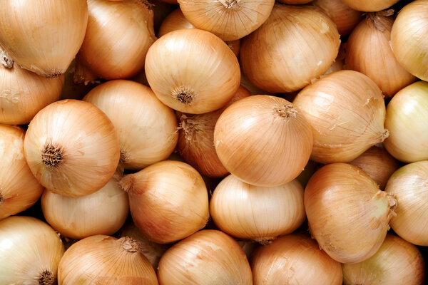Onion background close up