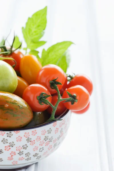 Смешанные помидоры в миске — стоковое фото