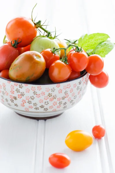 Tomates mistos em uma tigela — Fotografia de Stock