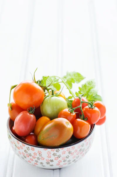 Tomates mistos em uma tigela — Fotografia de Stock