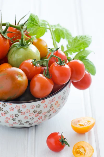 Tomates mistos em uma tigela — Fotografia de Stock