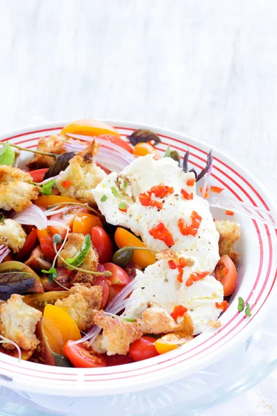 Tomaten en mozzarella kaas salade — Stockfoto