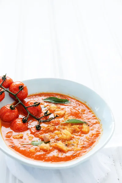 Soupe de tomate végétarienne — Photo