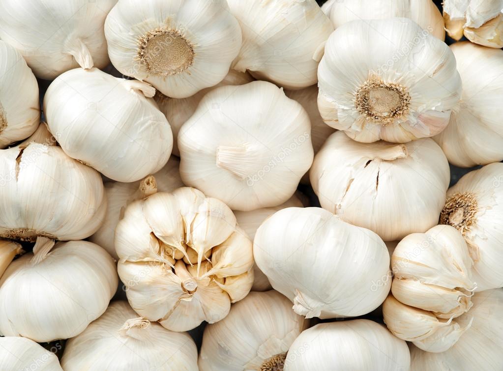 Garlic background close up