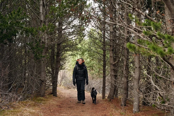 Köpek kadınla Hiking — Stok fotoğraf