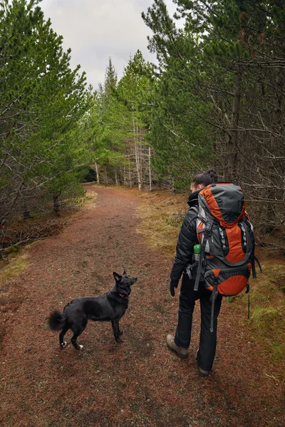 Femme de randonnée avec chien — Photo