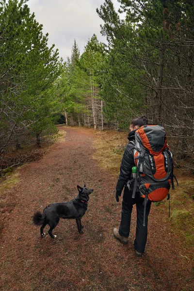 Vandring kvinna med hund — Stockfoto