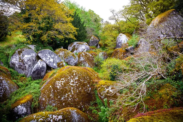 Pedregulhos Floresta Huelgoat Bretanha França — Fotografia de Stock