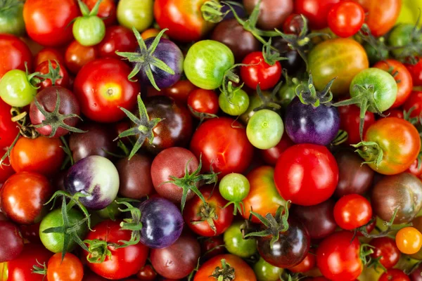 Set Colorful Cherry Tomatoes Top View — Stock Photo, Image