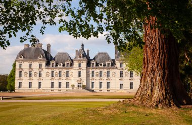 Loire Vadisi 'nin kaleleri - Güzel parkı olan zarif Cheverny.
