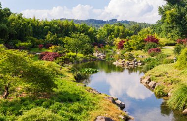 Baharda Japon bahçesi ve doğası