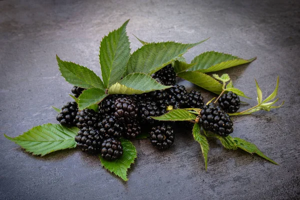 Fresh Blackberries Green Leaves Dark Background — Stock Photo, Image