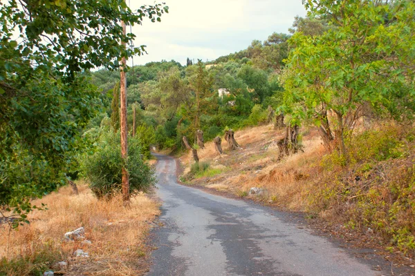 Dağ yolu Stok Resim