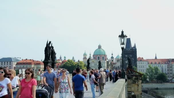 Pov Nézet Prágai Károly Hídon Sétáló Emberekről — Stock videók
