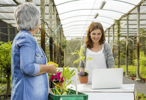 Arbetare och kund i en blomsteraffär — Stockfoto