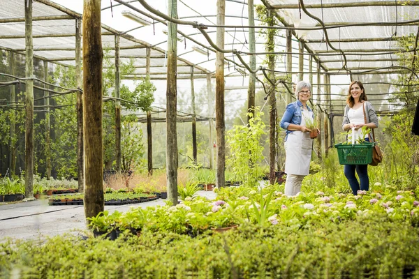 Worker and customer in a green house — Stock Photo, Image