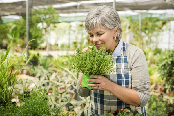 Mogen kvinna med färska örter — Stockfoto