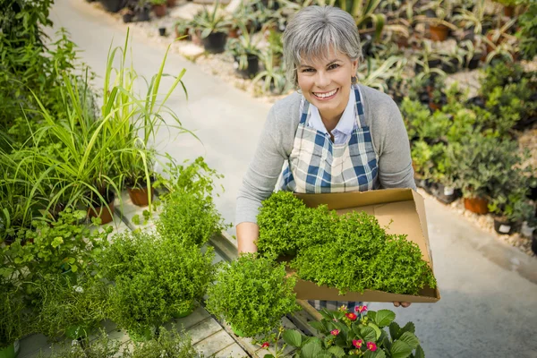 Mature woman holding fresh herbs — Stock Photo, Image