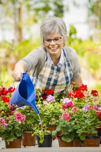 Mature woman watering flowers — Stock Photo, Image