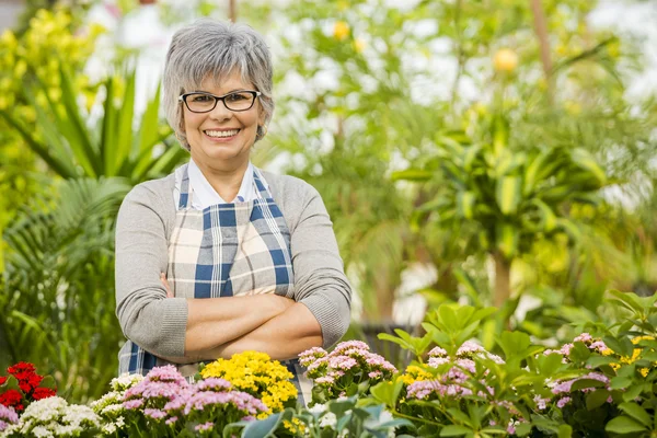 A day in a green house — Stock Photo, Image