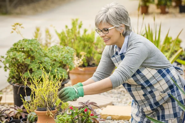 Mujer cuidando de las plantas —  Fotos de Stock