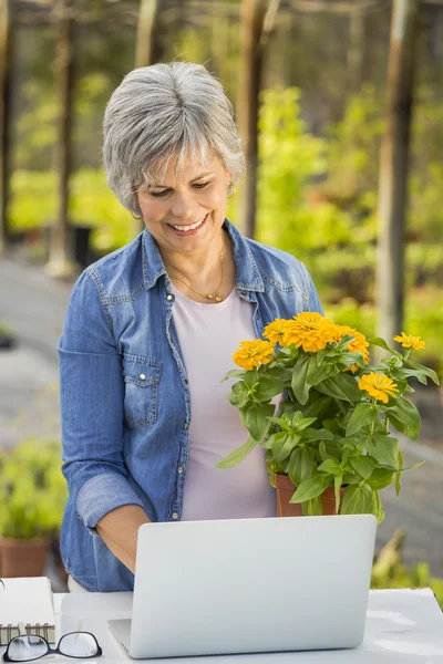 Mature woman holding flowers on her hands — Stock Photo, Image