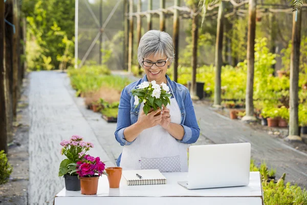 Mature woman holding flowers on her hands — Stock Photo, Image