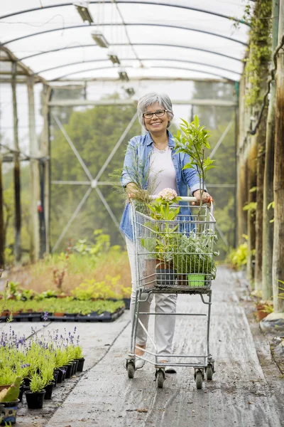 Žena nákupu rostliny ve skleníku — Stock fotografie
