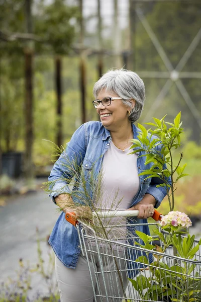 Mulher comprando plantas em estufa — Fotografia de Stock