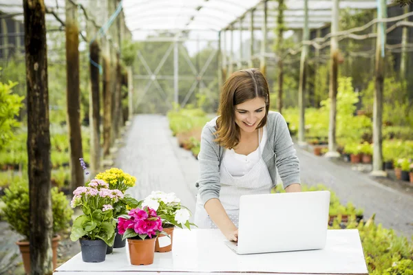 Mujer trabajando en una florería — Foto de Stock