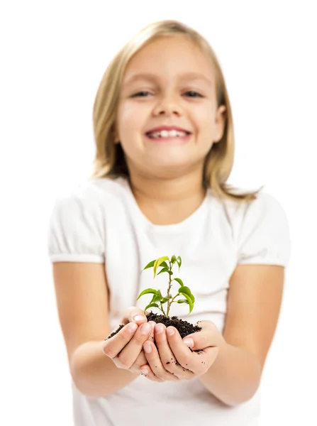 Χαριτωμένο κορίτσι δείχνει ένα φυτό — Φωτογραφία Αρχείου