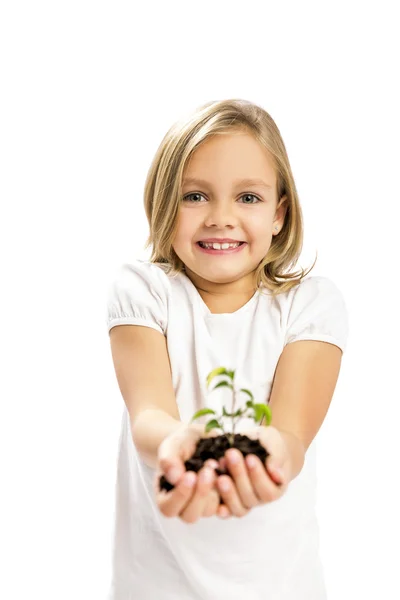 Menina bonito mostrando uma planta — Fotografia de Stock