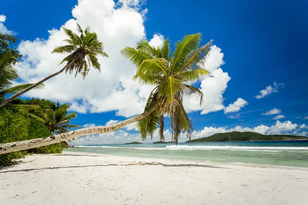 Vacker strand i Seychellerna — Stockfoto