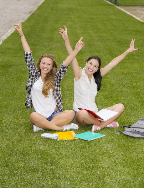 Happy beste vrienden zittend op het gras — Stockfoto